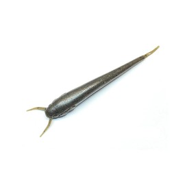 Nishine Lure Works 4" #2 Green Pumpkin