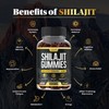 Shilajit Gummies - 3 in 1 with Sea Moss, Black
