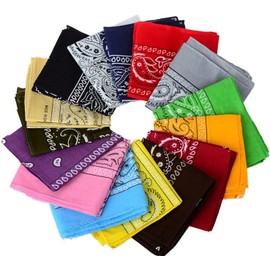 Glory Max 12Pcs Bandanas 100% Cotton Double Sided Paisley Print Head Wrap Scarf Wristband Headband (Mixed Paisley Colors)