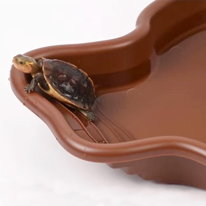 Flushbay Extra Large Reptile Bathing Pool Reptile Feeding Dish Water