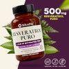 RESVERATROL | Solasta | Cápsulas de 500mg de Fácil Absorción