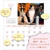Active Corporation 2026 Calendar Desk-top Sunbathing Cat Chronicles 26ACL-539 2026