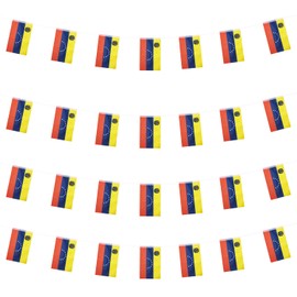 WXTWK Venezuela Flags Venezuelan Small Mini Pennant String Banner Flag Festival Decorations(50 Feet 38 Flags)