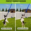HOKINETY Dog Hanging Bungee Tug Toy: Interactive Tether Tug-of-War for