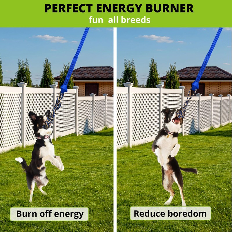 HOKINETY Dog Hanging Bungee Tug Toy: Interactive Tether Tug-of-War for