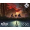 Buffalo Games Silver: Missing Friend Puzzle de 1000 Piezas