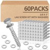 Tandefio 60 Pack 3/8 x 3'' Lag Screw Kit with