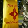 In the Breeze New Mexico 40" Windsock, Outdoor State Flag