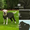 MHaustlie Dog Recovery Suit for Hind Legs, Anti Licking Dog