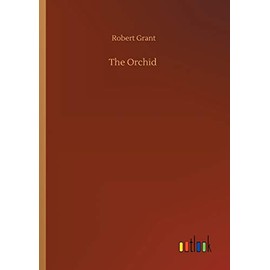 The Orchid