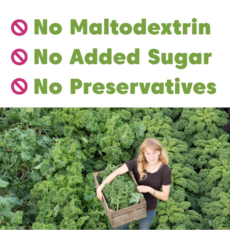 Wilderness Poets, Organic Kale Powder (160 Ounce - 10 Pound)