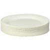 Empress Uncoated Paper Plate, 9 Inches, White, Pack of 100