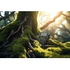 Berger + Schröter Mini 12MP Wildlife Camera up to 32GB