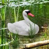 Galashield Swan Decoys for Geese | Floating Swan Decoy for
