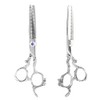 Professional Hair Cutting Thining Scissors Salon Barber Hairdressing Shear #01