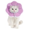 Avont Soft Cat Recovery Cone Collar, Adjustable Lightweight Kitten E-Collar
