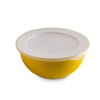 Omada Sanaliving Design Bowl (1.5 Litres) with Polypropylene Lid and