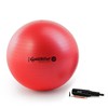 Pezzi Maxafe Original Pezziball 65 cm with Pump Red Gymnastics