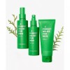 NATURE REPUBLIC 포레스트 릴리프 포 맨 스킨케어 세트 미스트+에멀전+클렌징폼 NATURE REPUBLIC Forest Relief for Man Skincare Set Mist+Emulsion+Cleansing Foam [Single Option ND0254]
