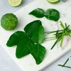 CHUXAY GARDEN Kaffir Lime Seed 55 Seeds Edible Citrus Hystrix