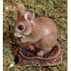 Dormouse by Vivid Arts, suitable for inside or out