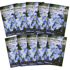 Sow Right Seeds - Forget-Me-Not Flower Seeds for Planting (Cynoglossum amabile) - Non-GMO Heirloom Packet with Instructions - Great to Pair with Cards of Remembrance - Small Blue Memory Blooms (10)