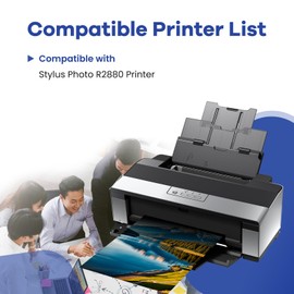 Remanufactured T096 96 Ink Cartridges R2880 Ink T0961 T0962 T0963 T0964 T0965 T0966 T0967 T0968 T0969 Replacement for 96 Ink Cartridge Works with Stylus Photo R2880 Printer Ink 9-Pack