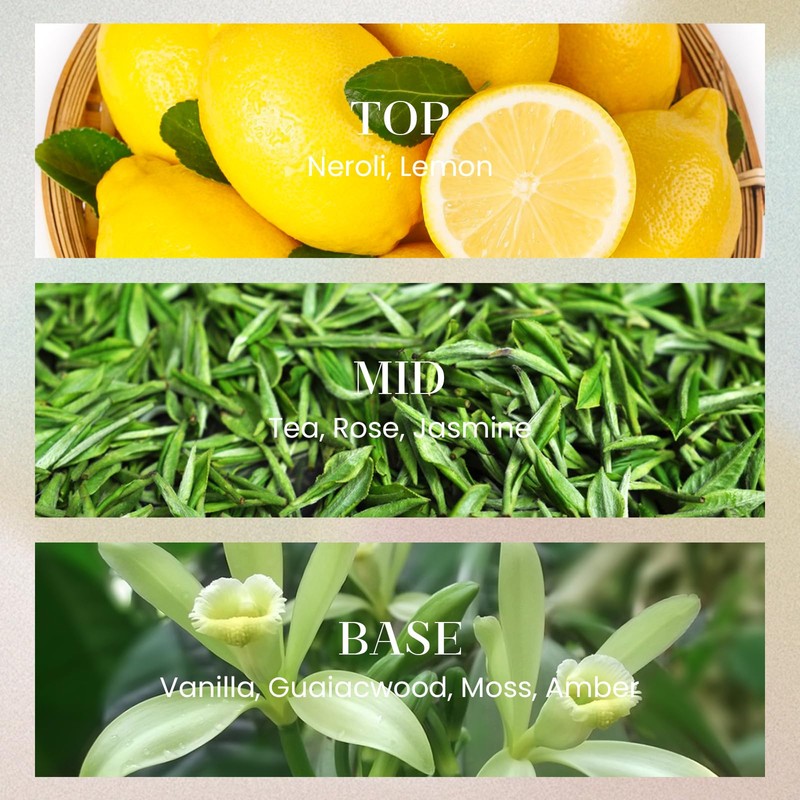 M&SENSE 10.14 oz Large Reed Diffuser Set | Neroli Noir