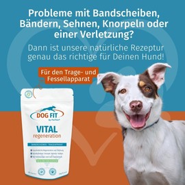 DOG FIT by PreThis® Vital Regeneration for Dogs, Strengthening the Intervertebral Discs, Herniated Disc, Tendon and Ligament Weakness, Cartilage Wear & After Surgery, Free from Additives