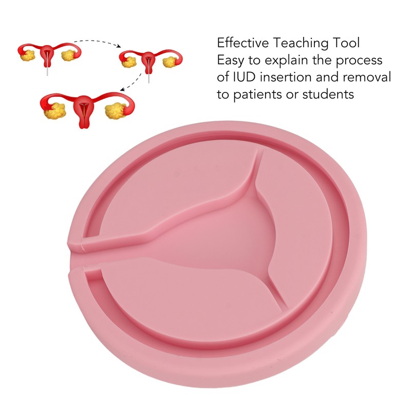 IUD Training Model Y Shape Inside Female Intrauterine Contraceptive Device