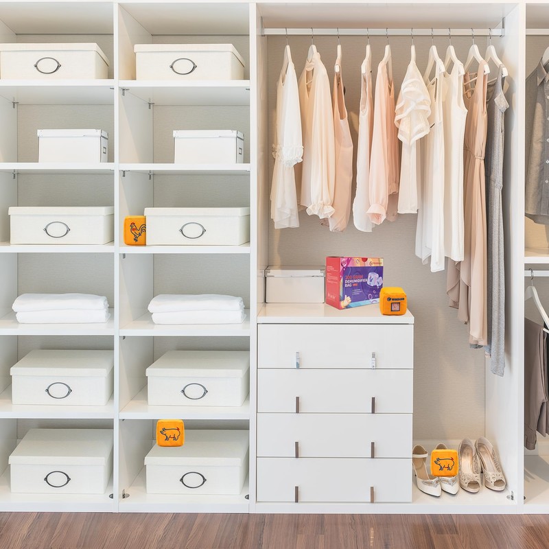 Wisesorb 8Pcs 200 Gram Indicating Silica Gel Desiccant Bags, Rechargeable