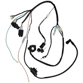 Unbranded Wiring Harness Light Wire For 50cc 125cc 140cc Engine Pit Dirt Bike Apollo SSR