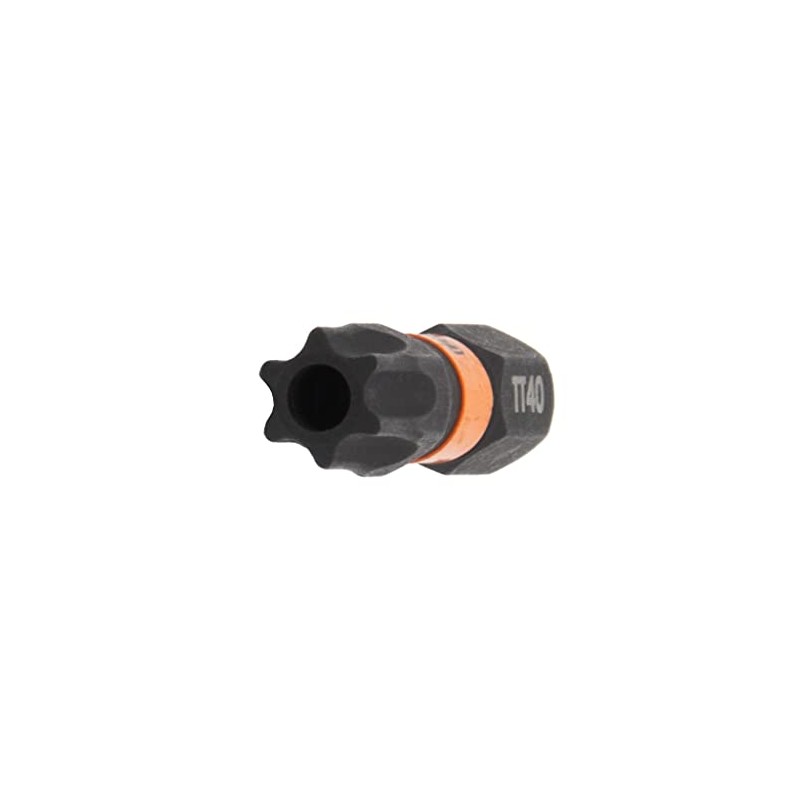 TORX T40 Tamper Proof Security Bits - Railer 1" 1/4