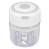 Electric Mini Garlic Chopper, 250 ml Cordless Portable Vegetable Chopper,