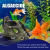 Yegbong Algae Remover Moss Remover Aquarium Algae Remover Moss Remover