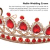 Vofler Queen Tiara Red Crystal Crown for Women Wedding Hair