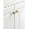 Goo-Ki 6 Pack Champagne Bronze Cabinet Knobs Zinc Alloy Kitchen