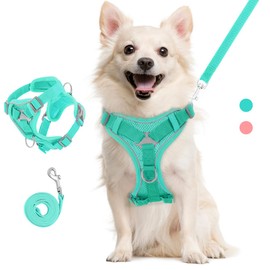 VavoPaw Cat Harness and Leash Set for Walking, Adjustable Kitten Vest Harness with Reflective Strip Breathable Mesh, Escape Proof Soft Pet Safety Vest for Cats, Kittens, Puppies, L, Lake Blue