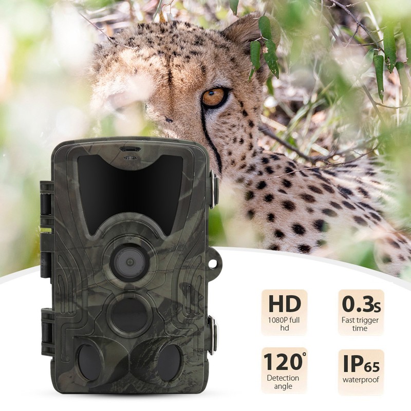 Outdoor Hunting Trail Camera 16MP 1080P IP65 Waterproof Infrared Night