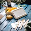 BIOZOYG Organic Disposable Sugarcane Bagasse Bowls Disposable Tableware Biodegradable I