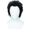 Linfairy Short Straight Cosplay Wig Halloween Costume Wig (black)