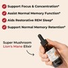 Super Mushroom Lion's Mane Elixir™ – Sugar-Free, Alcohol-Free, Antioxidant Brain