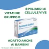 Matt Divisione Pharma Fermenti Lattici Bustine, in Polvere, 30g