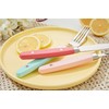 ANNOVA Silverware Set 20 Pieces Stainless Steel Color Handle With