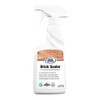 Rainguard International SP-3006 Ready to Use 16 oz Spray Bottle Premium Brick Sealer, Clear Finish Water Repellent for Bricks