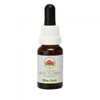 She Oak 15 ml Stockbottle Australian Bush Flower Essences