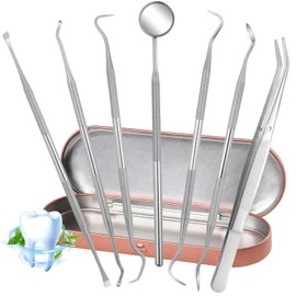 GeeRic 7pcs Herramientas Dentales, Extractor de Sarro de Acero Inoxidable Kit de Herramientas Profesional para Adultos, Familias y Perros con Estuche