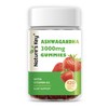 Nature's Key Ashwagandha Gummies, High Potency Ashwagandha Root Extract with