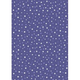 Lewis & Irene Haunted House Glow in The Dark Stars Spooky Fabric, Blue