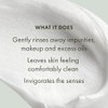 Origins Checks and Balances Frothy Face Wash, 5 Ounce